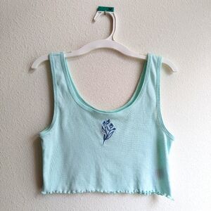 American Eagle Outfitters Light Blue Crop Top